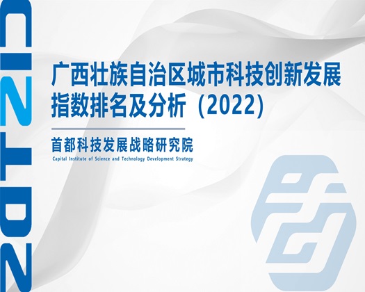 www.wwwxxxx老汉操逼【成果发布】广西壮族自治区城市科技创新发展指数排名及分析（2022）